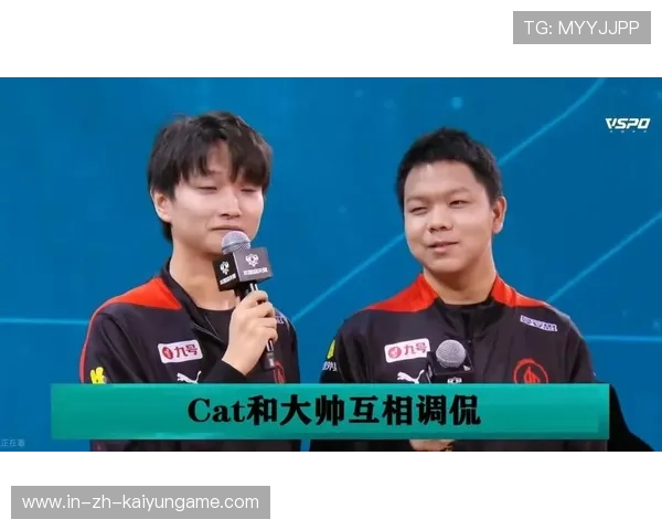 AG新辅助表现亮眼团队沟通更顺畅，ag辅助cat