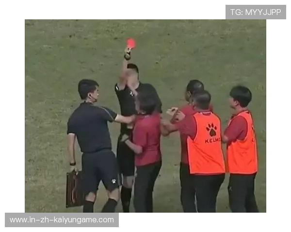 主裁判赛后道歉：这次判罚我错了